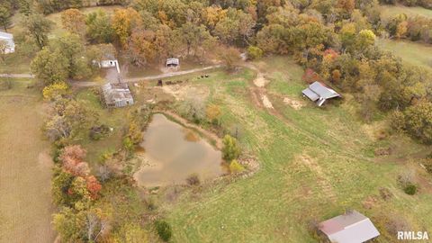 Tiny photo for 13536 Alleghany Road, Thompsonville, IL 62890 (MLS # EB460528)