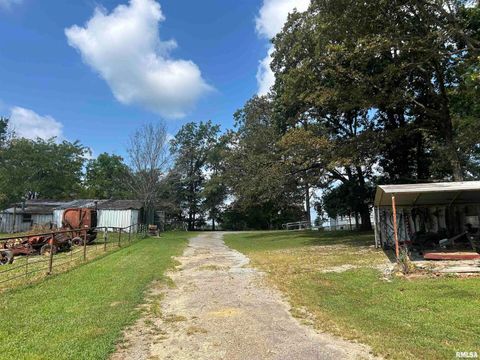 Tiny photo for 13536 Alleghany Road, Thompsonville, IL 62890 (MLS # EB460528)