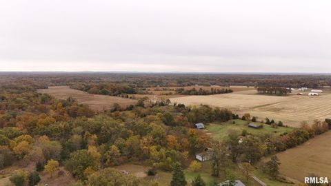 Tiny photo for 13536 Alleghany Road, Thompsonville, IL 62890 (MLS # EB460528)