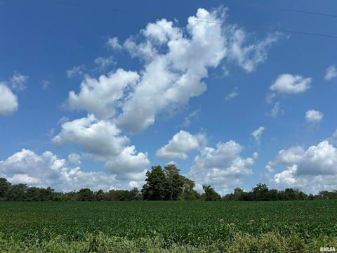 Tiny photo for 13536 Alleghany Road, Thompsonville, IL 62890 (MLS # EB460528)