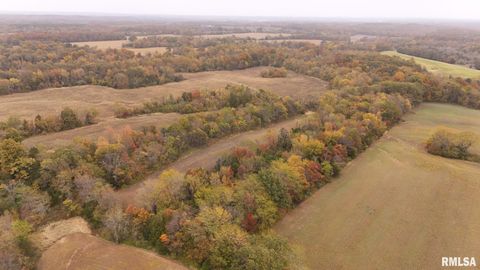 Tiny photo for 13536 Alleghany Road, Thompsonville, IL 62890 (MLS # EB460528)