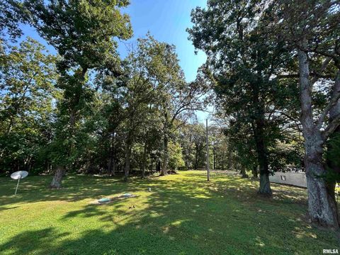 Tiny photo for 13536 Alleghany Road, Thompsonville, IL 62890 (MLS # EB460528)