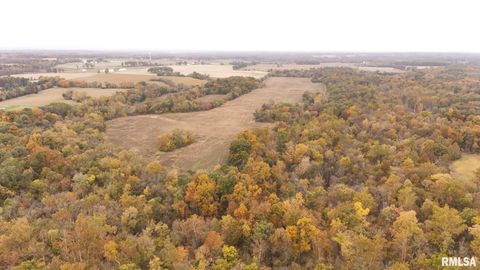 Tiny photo for 13536 Alleghany Road, Thompsonville, IL 62890 (MLS # EB460528)