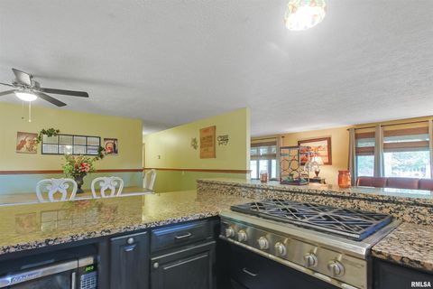 Tiny photo for 15 WHITE OAK Lane, Metropolis, IL 62960 (MLS # EB459996)