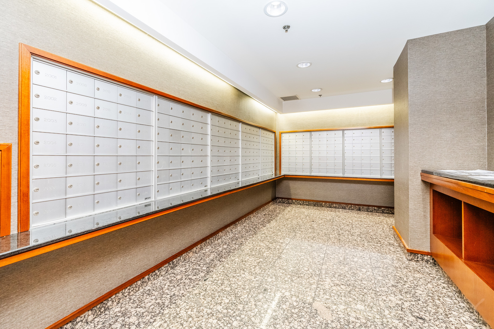 545 N Dearborn Street W1409