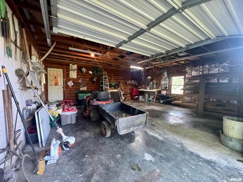 Tiny photo for 9596 Fox Hunters Road, Coello, IL 62812 (MLS # EB458394)