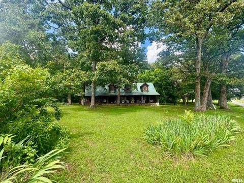 Tiny photo for 9596 Fox Hunters Road, Coello, IL 62812 (MLS # EB458394)