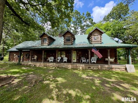 Tiny photo for 9596 Fox Hunters Road, Coello, IL 62812 (MLS # EB458394)