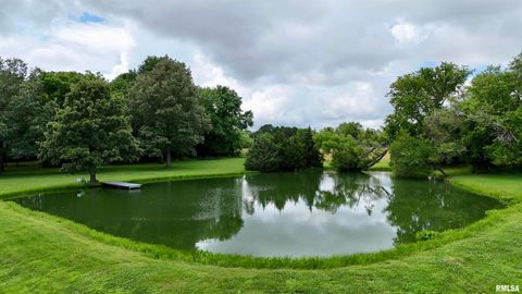 Tiny photo for 9596 Fox Hunters Road, Coello, IL 62812 (MLS # EB458394)