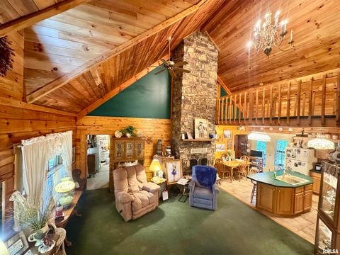 Tiny photo for 9596 Fox Hunters Road, Coello, IL 62812 (MLS # EB458394)