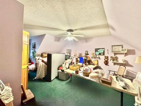 Tiny photo for 9596 Fox Hunters Road, Coello, IL 62812 (MLS # EB458394)