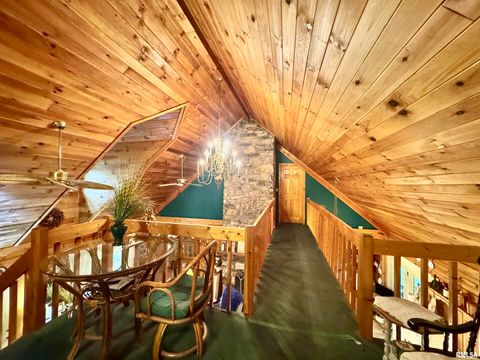 Tiny photo for 9596 Fox Hunters Road, Coello, IL 62812 (MLS # EB458394)