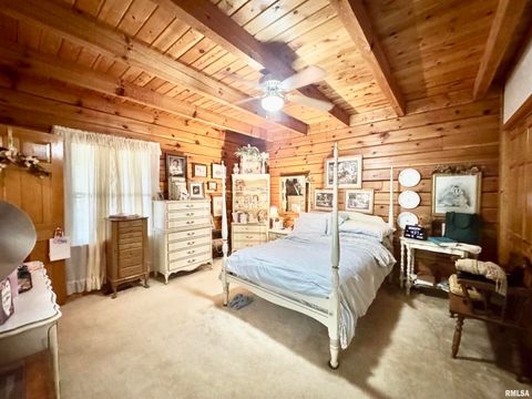 Tiny photo for 9596 Fox Hunters Road, Coello, IL 62812 (MLS # EB458394)