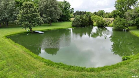 Tiny photo for 9596 Fox Hunters Road, Coello, IL 62812 (MLS # EB458394)