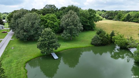 Tiny photo for 9596 Fox Hunters Road, Coello, IL 62812 (MLS # EB458394)