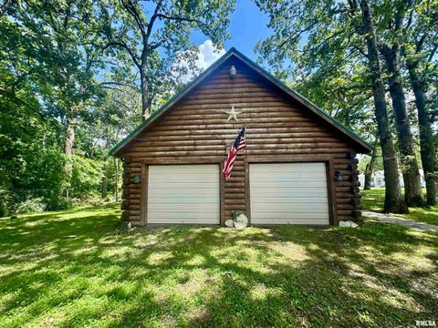 Tiny photo for 9596 Fox Hunters Road, Coello, IL 62812 (MLS # EB458394)