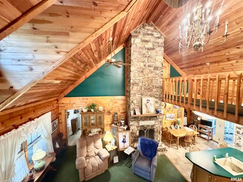 Tiny photo for 9596 Fox Hunters Road, Coello, IL 62812 (MLS # EB458394)