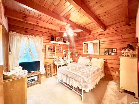 Tiny photo for 9596 Fox Hunters Road, Coello, IL 62812 (MLS # EB458394)