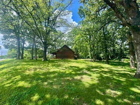 Tiny photo for 9596 Fox Hunters Road, Coello, IL 62812 (MLS # EB458394)