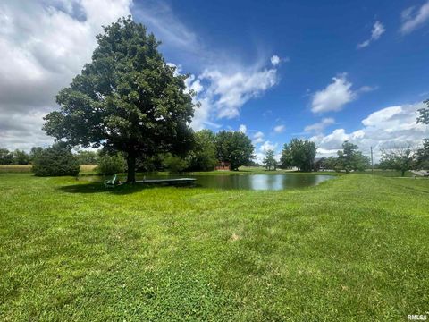 Tiny photo for 9596 Fox Hunters Road, Coello, IL 62812 (MLS # EB458394)