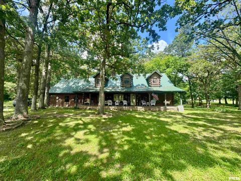 Tiny photo for 9596 Fox Hunters Road, Coello, IL 62812 (MLS # EB458394)