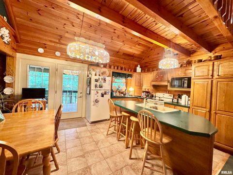 Tiny photo for 9596 Fox Hunters Road, Coello, IL 62812 (MLS # EB458394)