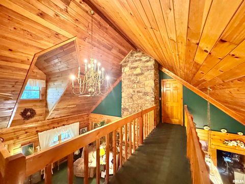 Tiny photo for 9596 Fox Hunters Road, Coello, IL 62812 (MLS # EB458394)