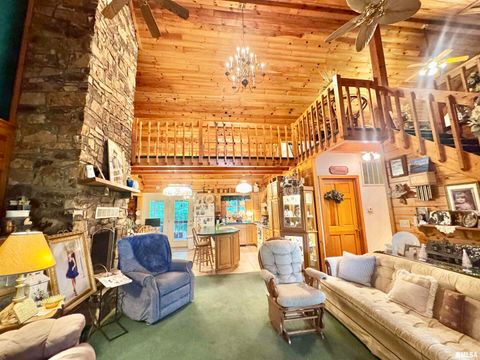 Tiny photo for 9596 Fox Hunters Road, Coello, IL 62812 (MLS # EB458394)