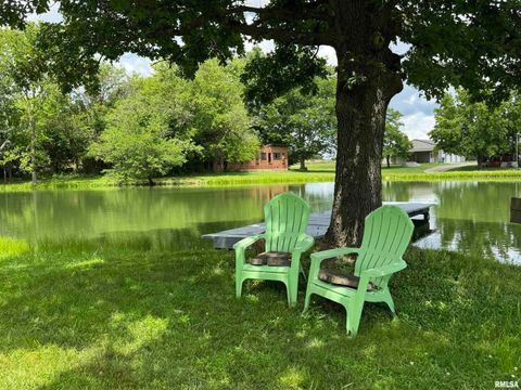 Tiny photo for 9596 Fox Hunters Road, Coello, IL 62812 (MLS # EB458394)