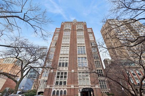 20 E Cedar Street 8A Chicago IL 60611