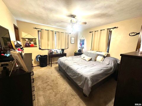 Tiny photo for 1340 E 6TH Street, Centralia, IL 62801 (MLS # EB460231)