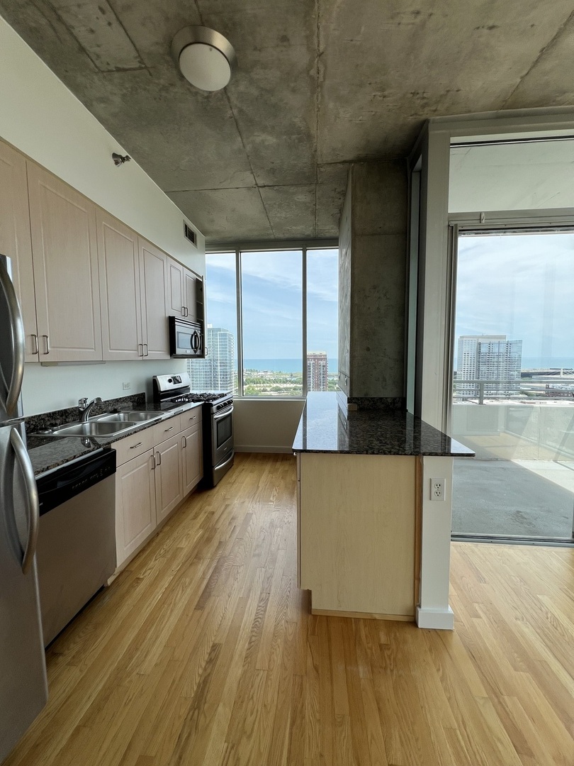 1720 S Michigan Avenue 2308