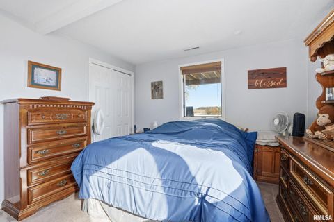 Tiny photo for 17297 Highway 92, Columbus Junction, IA 52738 (MLS # QC4269123)