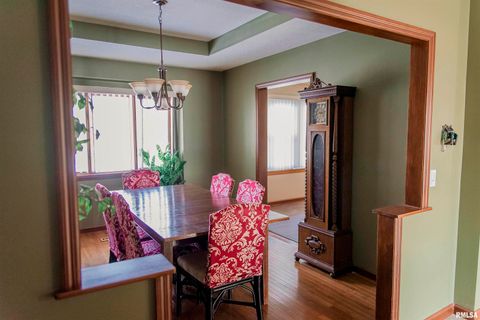 Tiny photo for 2208 CHERRY Lane, Quincy, IL 62305 (MLS # QC4269972)