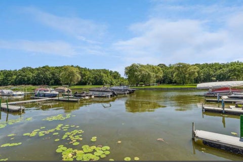 Tiny photo for 18 Saint Thomas Colony #4, Fox Lake, IL 60020 (MLS # 12771043)