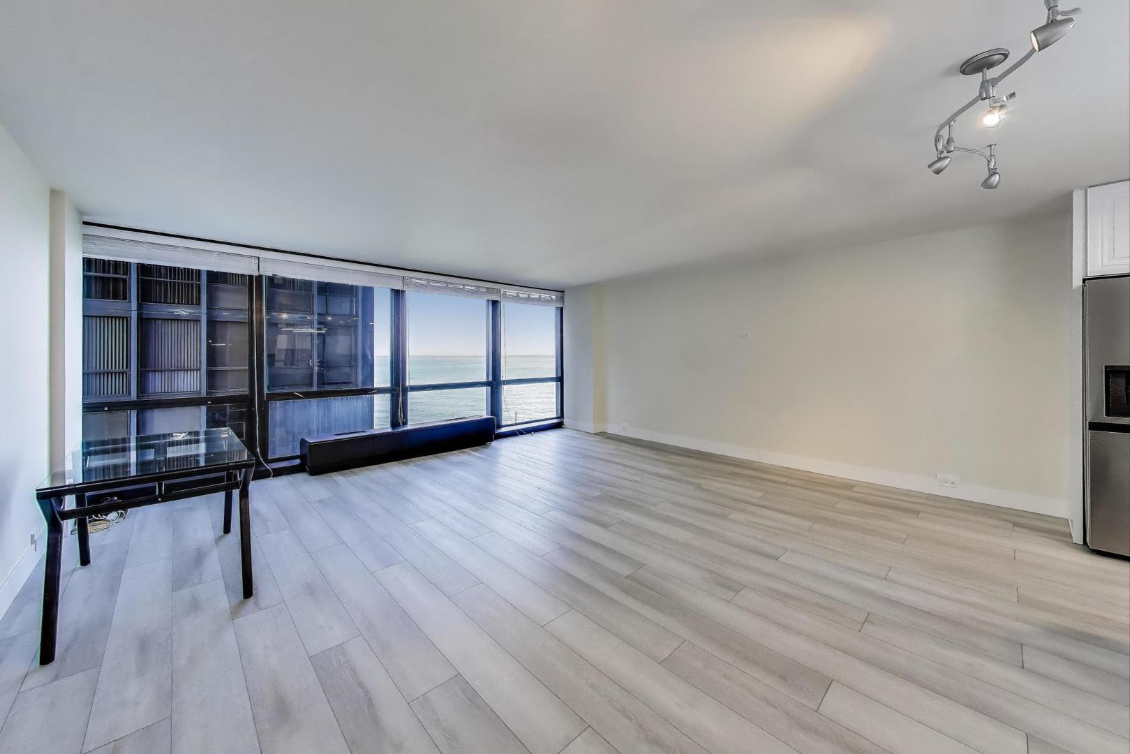 900 N Lake Shore Drive 1003