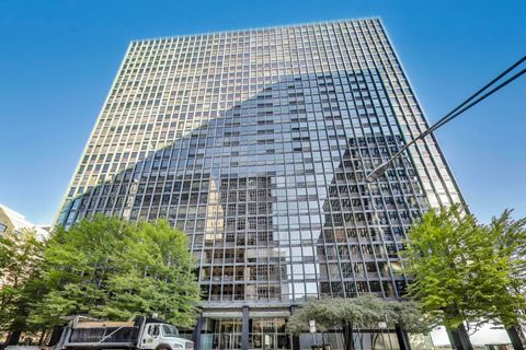 900 N Lake Shore Drive 1003 Chicago IL 60611