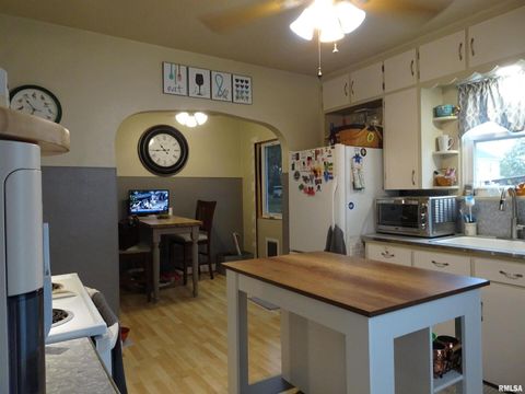 Tiny photo for 522 N STATE Street, Geneseo, IL 61254 (MLS # QC4267819)