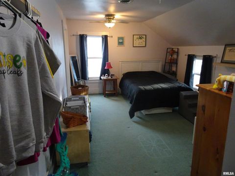 Tiny photo for 522 N STATE Street, Geneseo, IL 61254 (MLS # QC4267819)