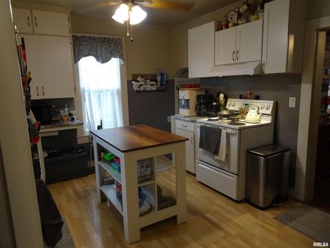 Tiny photo for 522 N STATE Street, Geneseo, IL 61254 (MLS # QC4267819)