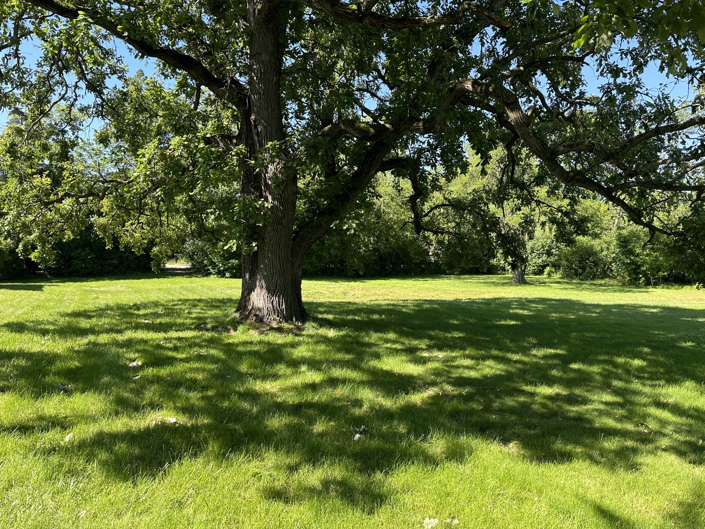 2033 Winnetka Road