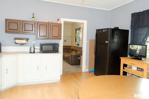 Tiny photo for 1306 NEWTON Avenue, Johnston City, IL 62959 (MLS # QC4264601)