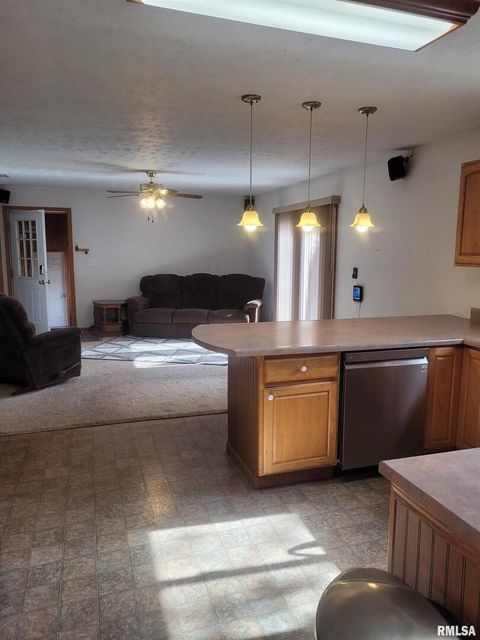 Tiny photo for 103 E Highline Road, Woodlawn, IL 62898 (MLS # EB460419)