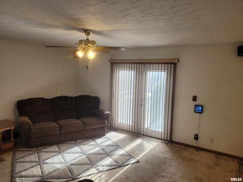 Tiny photo for 103 E Highline Road, Woodlawn, IL 62898 (MLS # EB460419)