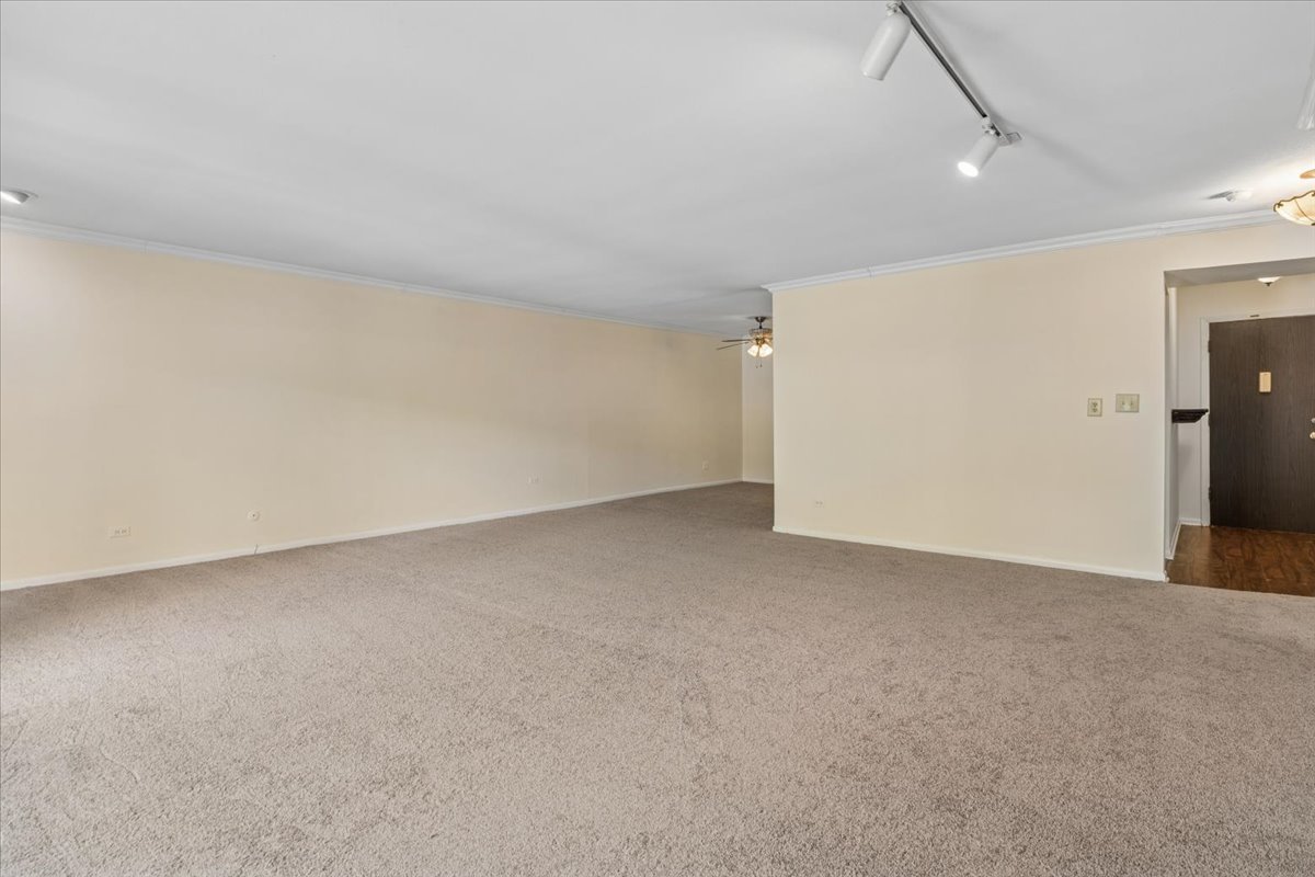 925 Spring Hill Drive 102