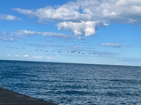 Tiny photo for 515 E Oakwood Boulevard, Chicago, IL 60653 (MLS # 12591936)