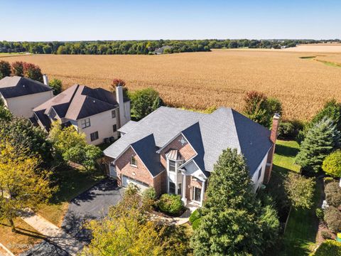 Tiny photo for 13306 Rosewood Lane, Plainfield, IL 60585 (MLS # 12463963)