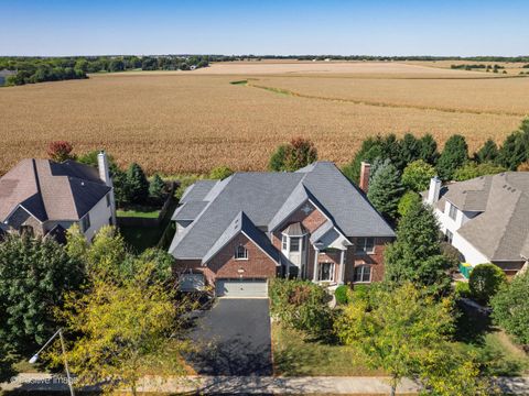 Tiny photo for 13306 Rosewood Lane, Plainfield, IL 60585 (MLS # 12463963)