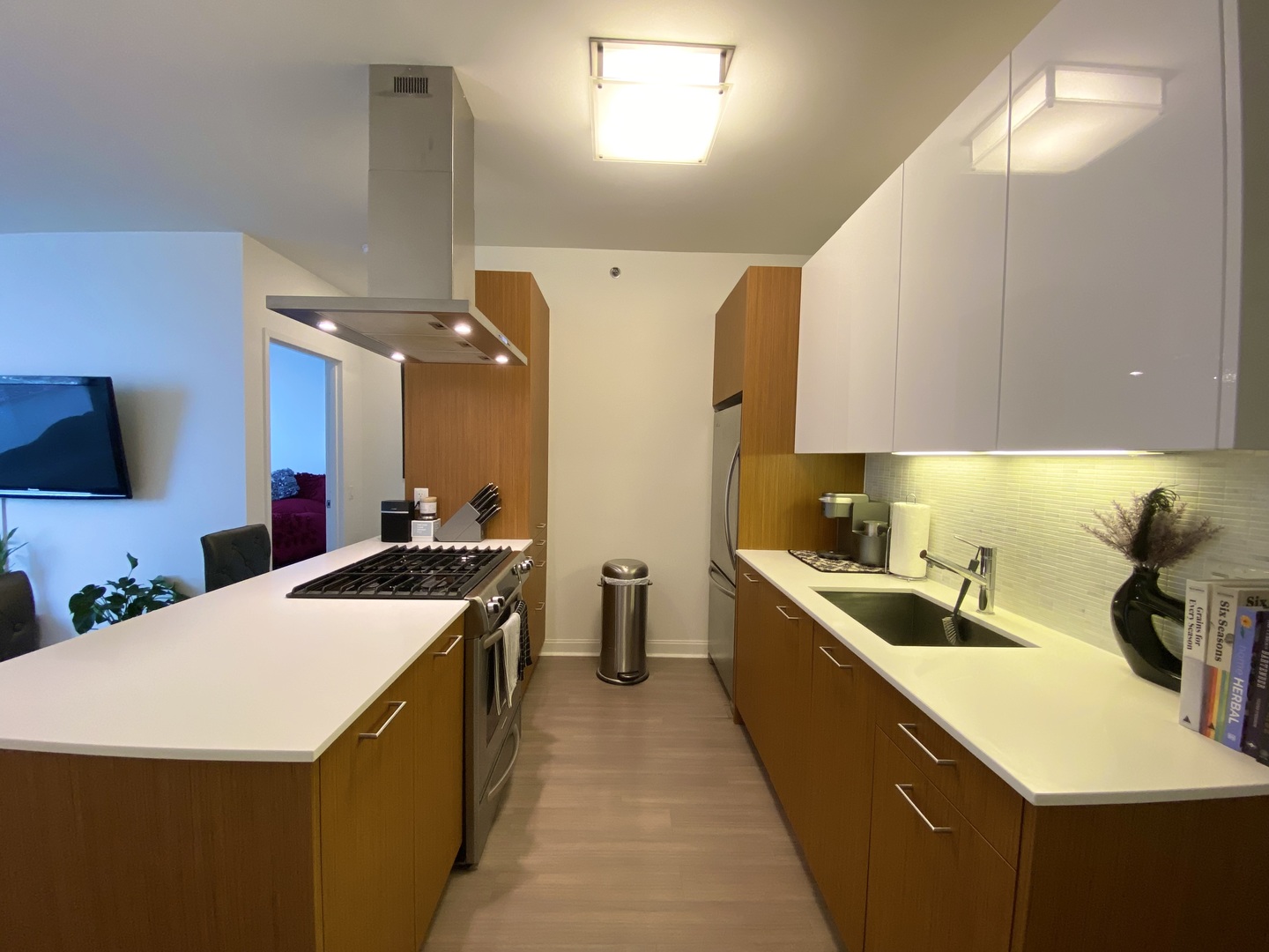 500 N Lake Shore Drive 2806