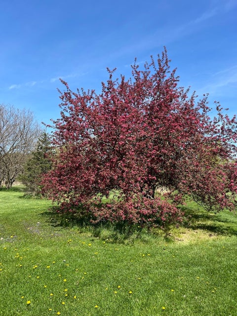 Tiny photo for 18840 W Manteno Road, Wilmington, IL 60481 (MLS # 12770900)